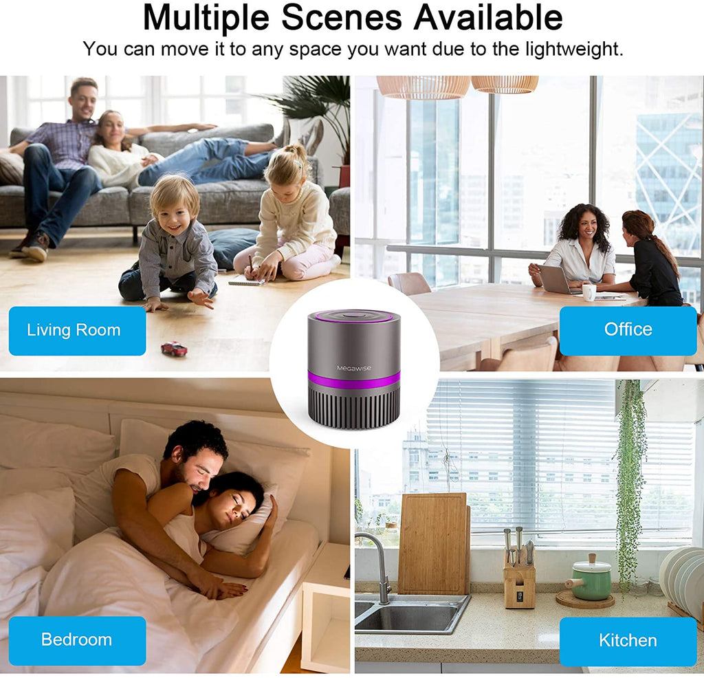 MEGAWISE EPI810 Desktop Air Purifier, True HEPA Filter Air Cleaner Updated 2022 Version